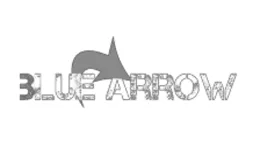 Blue Arrow Games