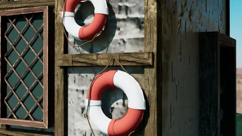 Life Buoys